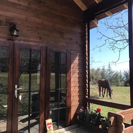 مكان تخييم Olympus Horse Riding Club Wooden Horse House Nafar لِتوخورو