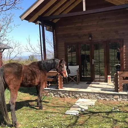 مكان تخييم Olympus Horse Riding Club Wooden Horse House Nafar *